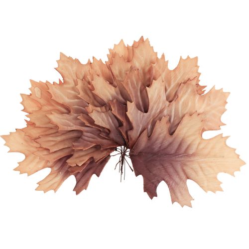 Floristik24 Hoja de roble rojo hojas de otoño deco hojas deco 13×19cm 12pcs