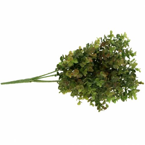 Floristik24 Rama decorativa de boj verde 40cm