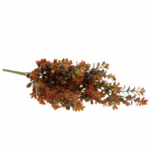 Floristik24 Deco de boj rama otoñal 50cm
