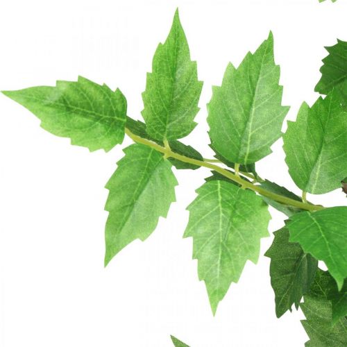 Floristik24 Deco Branch Rama de hojas artificiales Rama de abedul verde 90cm