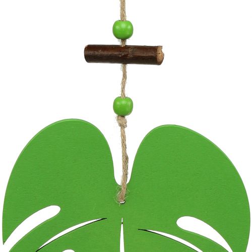 Floristik24 Hoja 14,5cm para colgar Verde