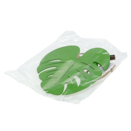 Floristik24 Hoja 14,5cm para colgar Verde
