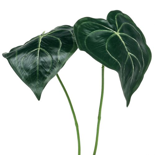 Floristik24 Hoja de caladio 32cm 2uds