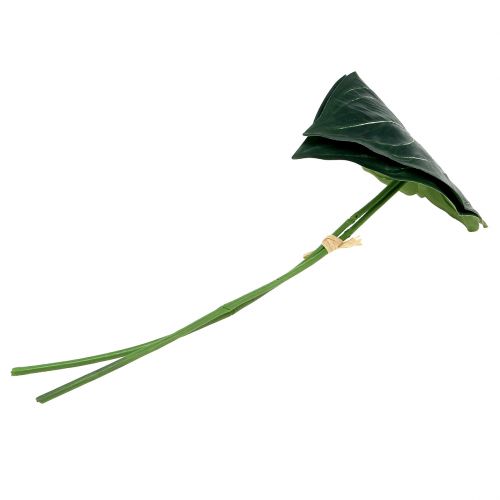 Floristik24 Hoja de caladio 32cm 2uds