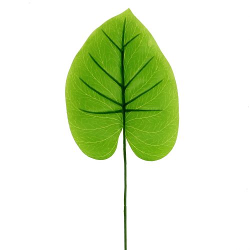 Floristik24 Hoja decorativa Funkie, Hosta 40cm 5pcs