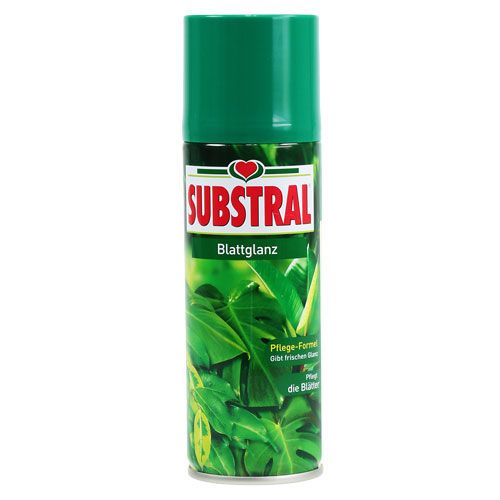 Floristik24 Brillo de hoja 200ml