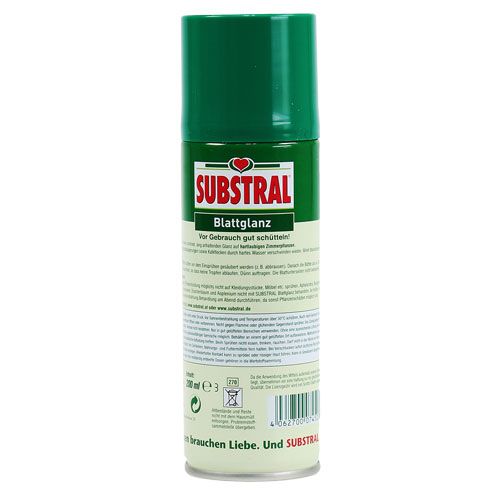 Floristik24 Brillo de hoja 200ml