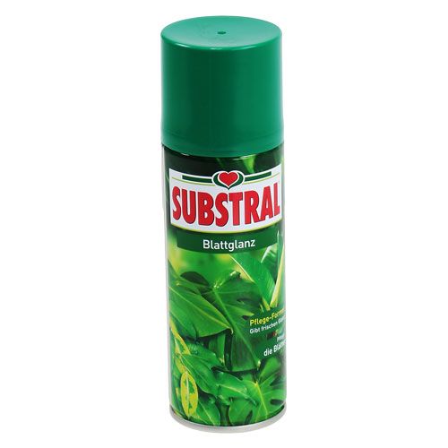 Floristik24 Brillo de hoja 200ml