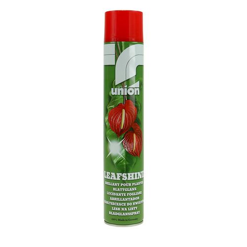 Floristik24 Spray de brillo de hojas 400ml