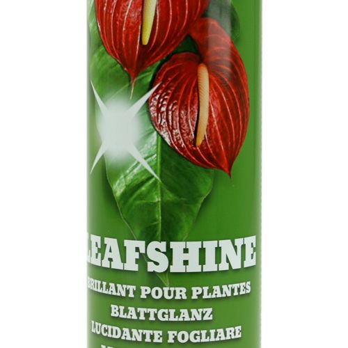 Floristik24 Spray de brillo de hojas 400ml