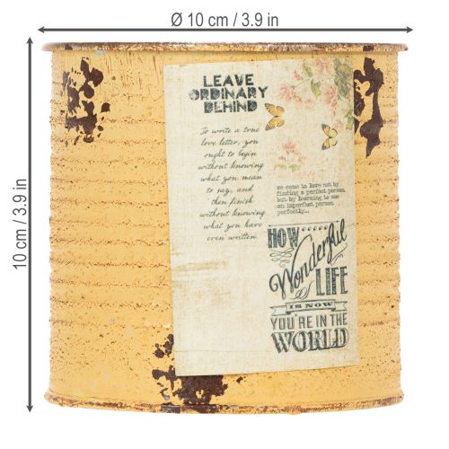 Artículo Maceta decorativa de metal con forma de albaricoque, hecha con una lata de hojalata, de Ø11 cm y 10,5 cm de alto.