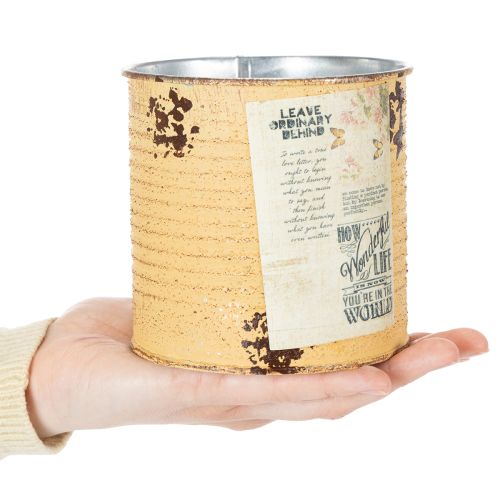 Maceta decorativa de metal con forma de albaricoque, hecha con una lata de hojalata, de Ø11 cm y 10,5 cm de alto. | Floristik24.es