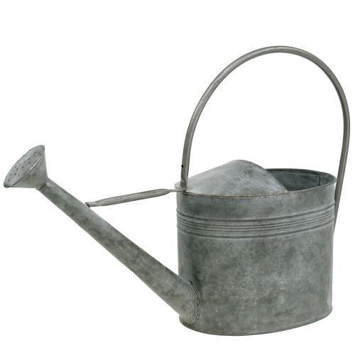 Floristik24 Regadera de lata Gris 23,5cm x 17,5cm H19cm