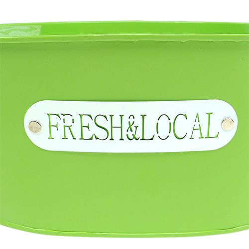 Floristik24 Cuenco de hojalata ovalado verde 22cm x 15cm H10cm