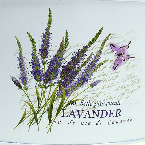 Floristik24 Set de lata 3-set blanco con motivo lavanda
