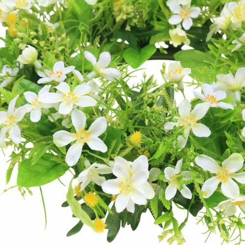 Floristik24 Guirnalda anémona/verde eneldo, blanca Ø30cm