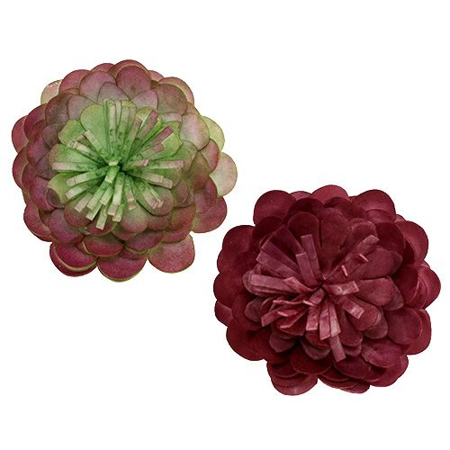 Floristik24 Flor de Espuma 7cm Verde / Burdeos 12pcs