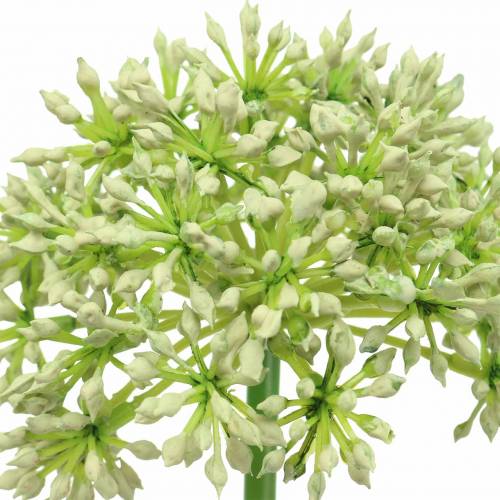 Artículo Allium blanco artificial 55cm