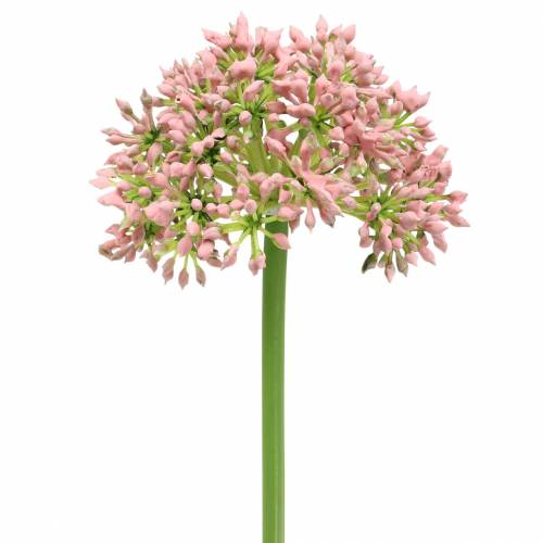 Artículo Allium artificial Rosa 55cm