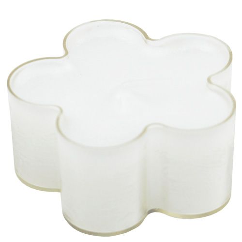 Floristik24 Flor blanca clara 12pcs