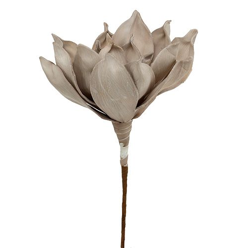 Floristik24 Rama de flores de espuma gris 65cm
