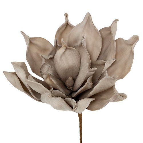 Floristik24 Rama de flores de espuma gris 65cm