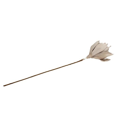 Floristik24 Rama de flores de espuma gris 65cm