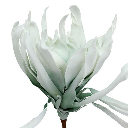Artículo Espuma de rama de flor blanca, verde 72cm