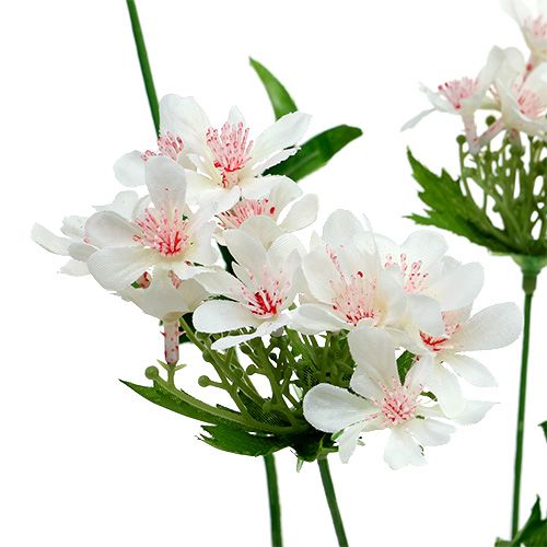 Artículo Rama de flor blanca L70cm