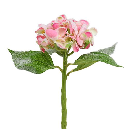 Artículo Hortensia rosa nevada 33cm 4uds