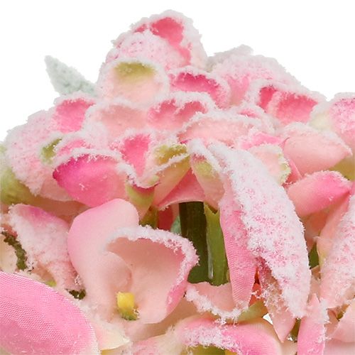 Artículo Hortensia rosa con nieve 33cm 4uds