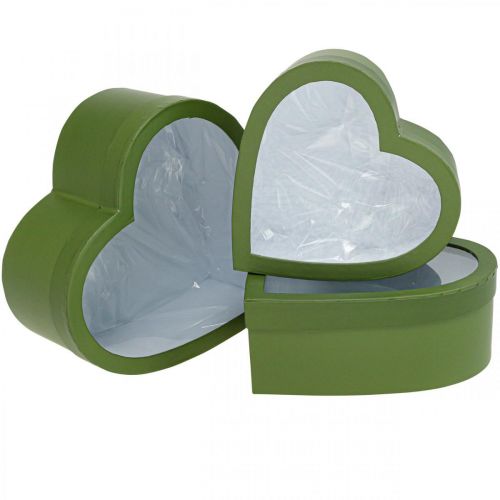 Floristik24 Caja de regalo de flores Caja de flores de corazón verde 24/21,5/19 cm Juego de 3