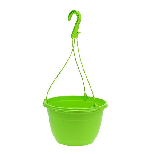 Floristik24 Cesta colgante 25cm verde