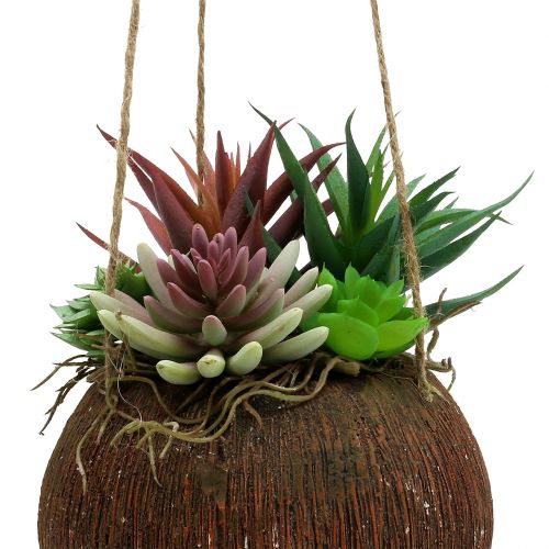 Floristik24 Cesta colgante con suculentas artificiales L65cm Ø16cm