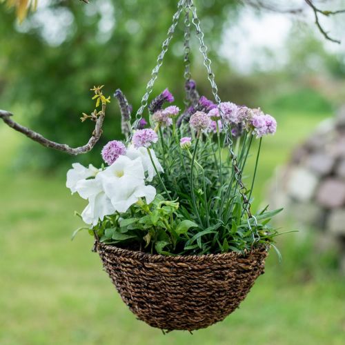 Artículo Cesta de flores cesta colgante marrón cesta colgante cesta de plantas Ø25cm