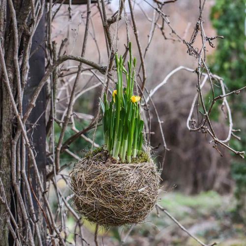 Floristik24 Blumenampel Heu Natur Cesto de plantas para colgar Maceta colgante Ø20cm