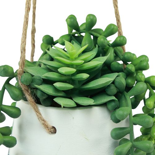 Artículo Cestas colgantes suculentas artificiales verdes surtidas 18cm 3ud