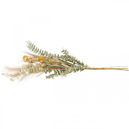 Artículo Flores artificiales Craspedia hierba pluma eucalipto ramo 55cm