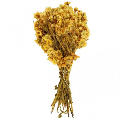 Artículo Mini flor de paja ramo de flores secas amarillas ramo seco Al20cm 15g