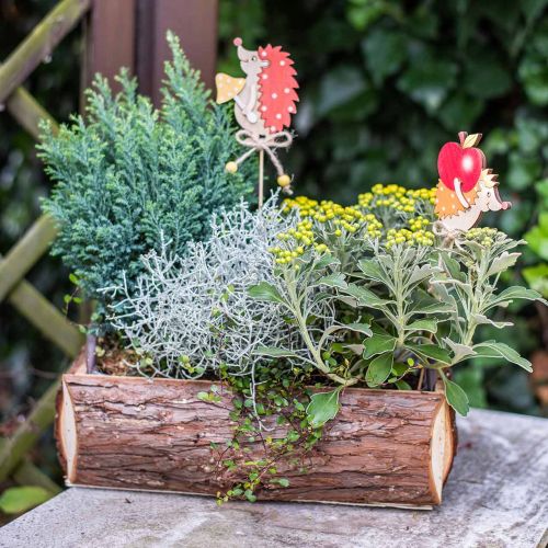 Floristik24 Caja de flores, caja de madera con corteza, maceta con asas 38cm