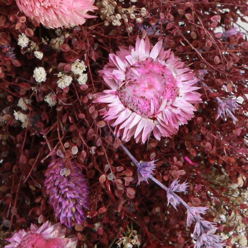 Floristik24 Corona de flores corona de flores secas vino tinto rosa Ø25cm