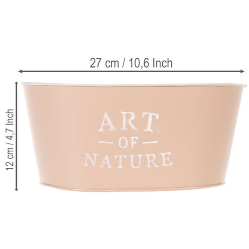 Maceta ovalada de zinc, rosa antigua, 27×18cm, H12.5cm | Floristik24.es