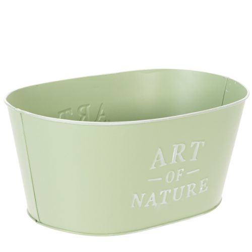 Maceta ovalada de zinc verde menta, 27 × 18 cm, 12,5 cm de alto. | Floristik24.es