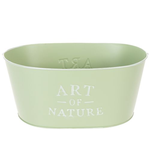 Maceta ovalada de zinc verde menta, 27 × 18 cm, 12,5 cm de alto. comprar | Floristik24.es