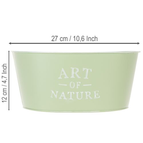 Maceta ovalada de zinc verde menta, 27 × 18 cm, 12,5 cm de alto. | Floristik24.es