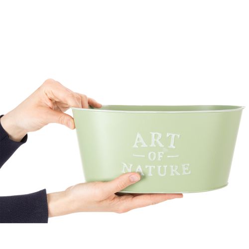 Maceta ovalada de zinc verde menta, 27 × 18 cm, 12,5 cm de alto. | Floristik24.es