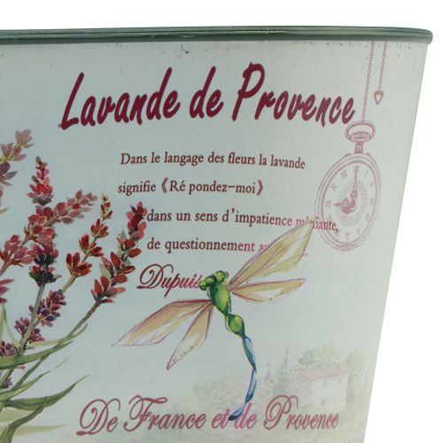 Artículo Cuenco para flores macetero ovalado de lavanda plástico 21,5×12,5cm Alt.11cm