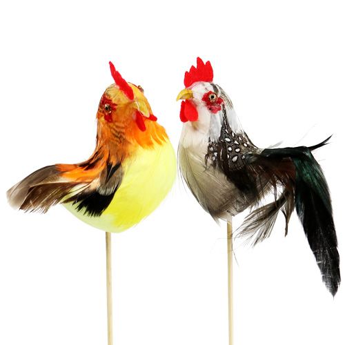 Floristik24 Tapón flor gallo colores surtidos 25cm 12uds