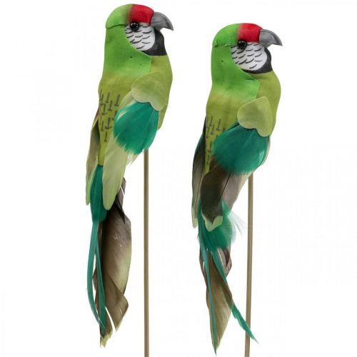 Floristik24 Tapón de flores pájaro, loro decorativo verde 23×4,5×5,5cm 6uds