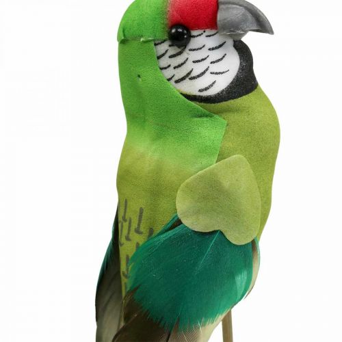 Floristik24 Tapón de flores pájaro, loro decorativo verde 23×4,5×5,5cm 6uds